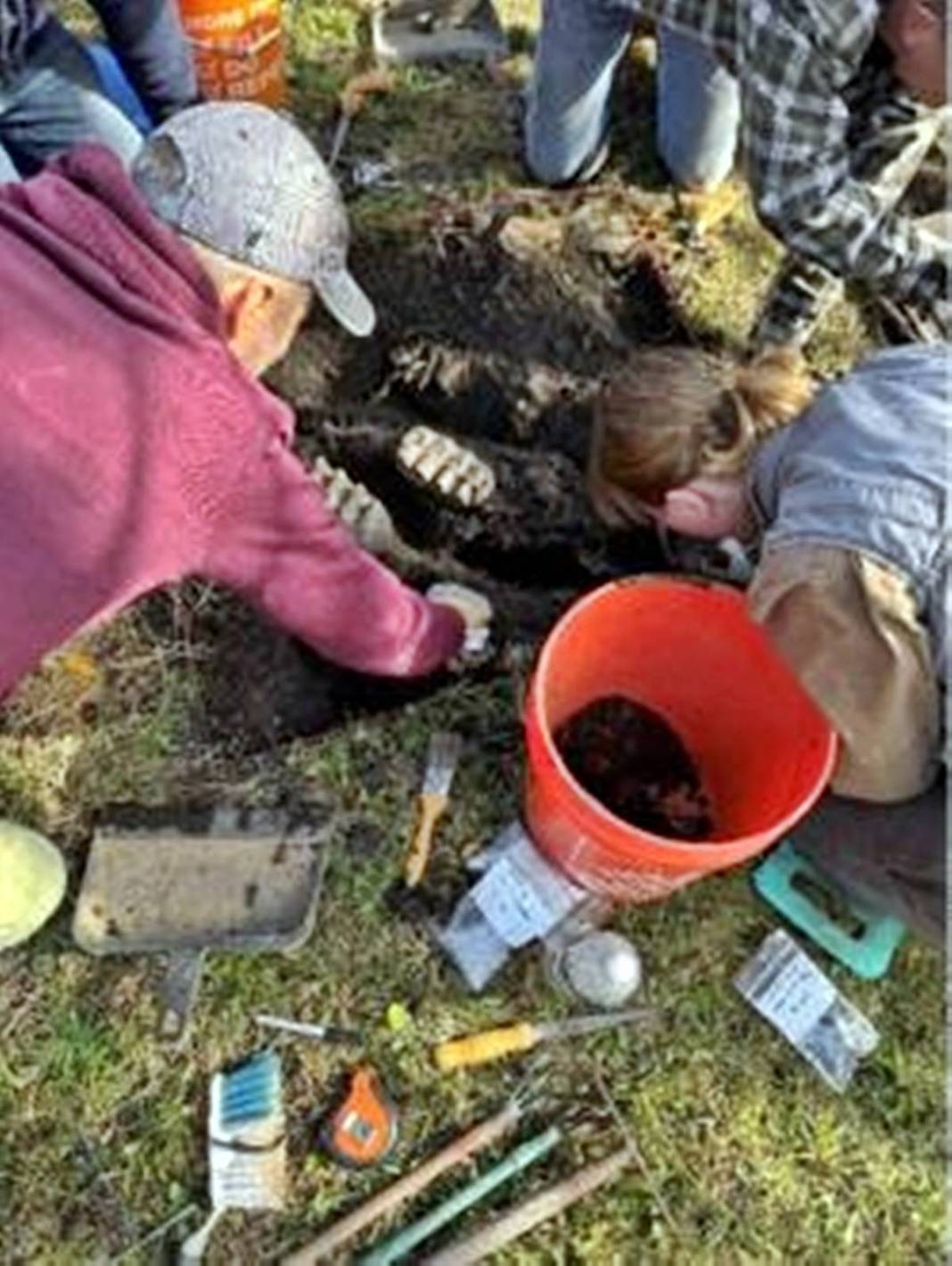 Bahçesini eşelerken bulduğu kemikler şoke etti! Yetkililer apar topar bölgeye gitti, gerçek ortaya çıktı 4
